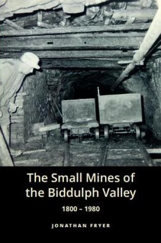 Cover of The Small Mines of the Biddulph Valley