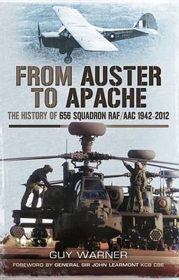 Book cover for From Auster to Apache