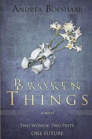 Cover of Broken Things