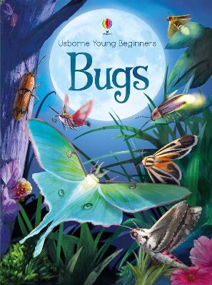 Cover of Bugs