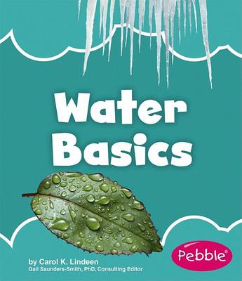 Cover of Water Basics