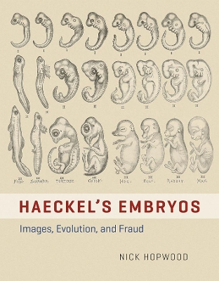 Book cover for HAECKEL'S EMBRYOS - IMAGES, EVOLUTION, AND FRAUD