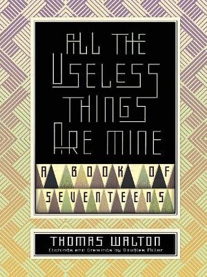 Book cover for All the Useless Things are Mine