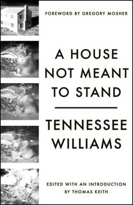 Book cover for A House Not Meant to Stand