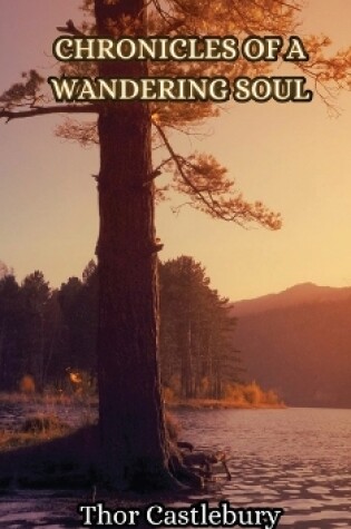 Cover of Chronicles of a Wandering Soul