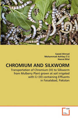 Book cover for Chromium and Silkworm