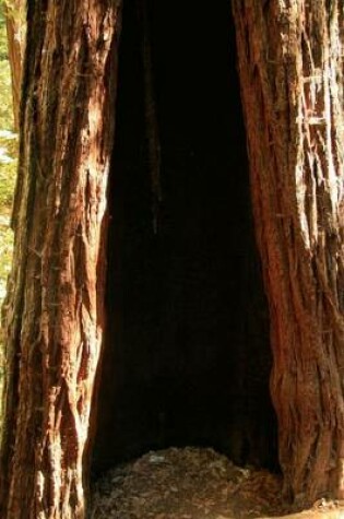 Cover of Hollow Giant Redwood Tree (for the Love of Nature)