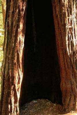 Book cover for Hollow Giant Redwood Tree (for the Love of Nature)