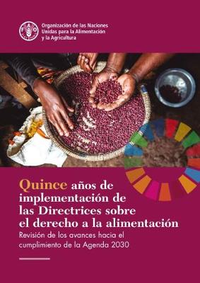 Cover of Fifteen Years Implementing the Right to Food Guidelines (Spanish Edition)