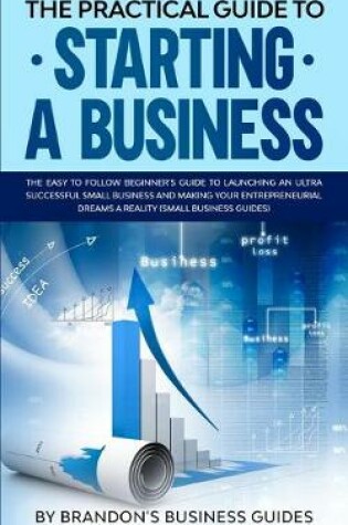 Cover of The Practical Guide to Starting a Business