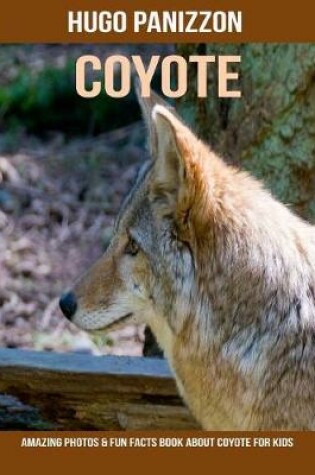 Cover of Coyote