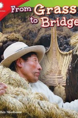 Cover of From Grass to Bridge