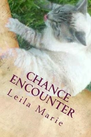 Cover of Chance Encounter