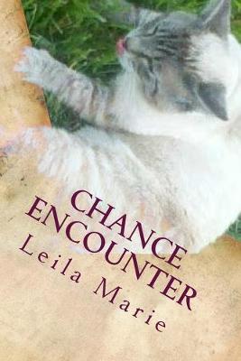 Book cover for Chance Encounter