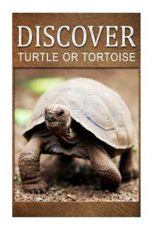 Cover of Turtle Or Tortoise - Discover