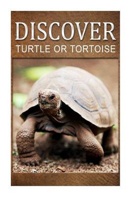 Book cover for Turtle Or Tortoise - Discover