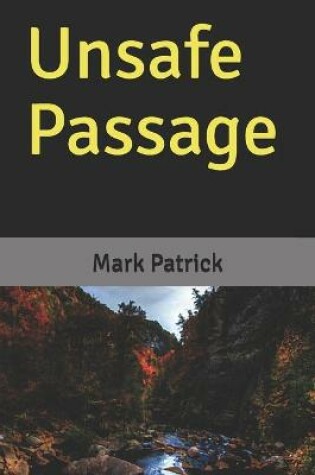 Cover of Unsafe Passage