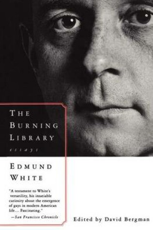 Cover of Burning Library