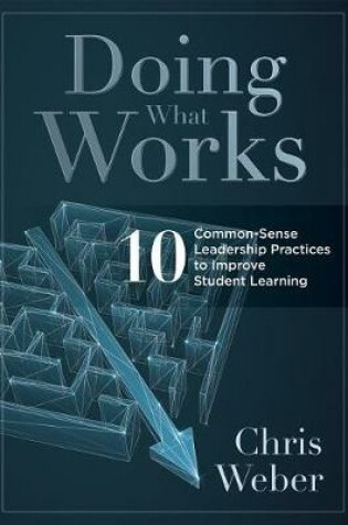 Cover of Doing What Works