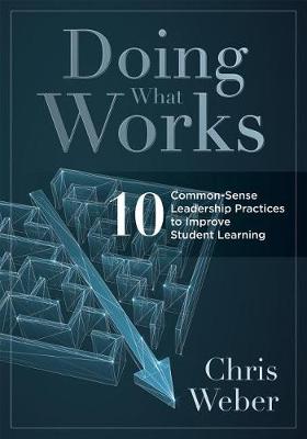 Book cover for Doing What Works