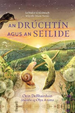 Cover of An Drúchtín agus an Seilide