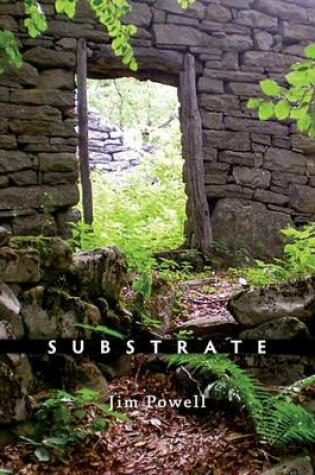 Cover of Substrate