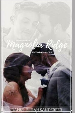 Cover of Stories From Magnolia Ridge 10