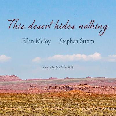 Book cover for This Desert Hides Nothing