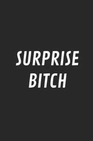 Cover of Surprise Bitch