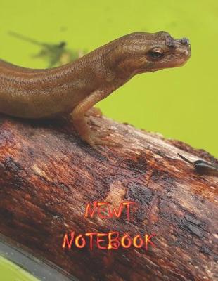 Book cover for Newt Notebook