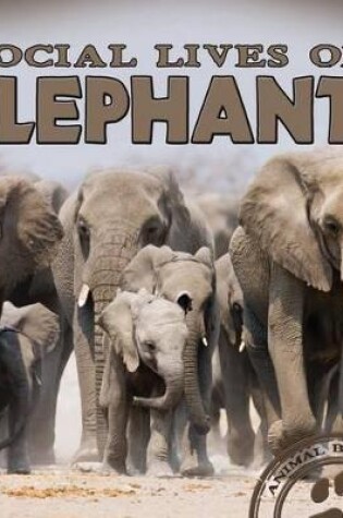 Cover of Social Lives of Elephants