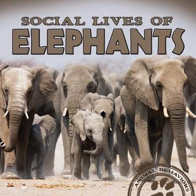Book cover for Social Lives of Elephants