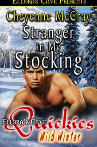 Cover of Stranger in My Stocking