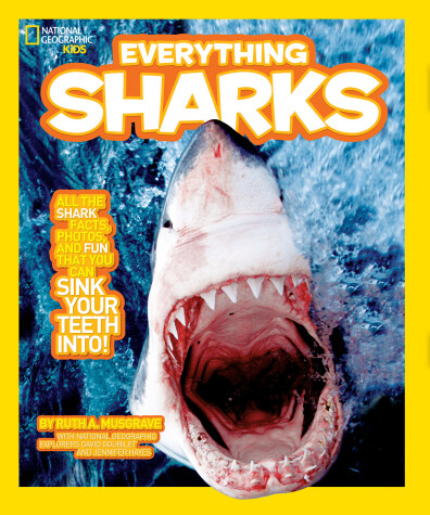 Cover of Everything Sharks