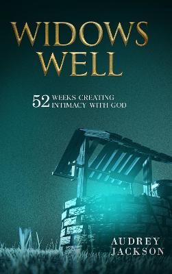 Book cover for Widows Well