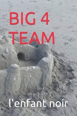 Cover of Big 4 Team