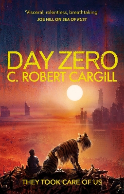 Book cover for Day Zero