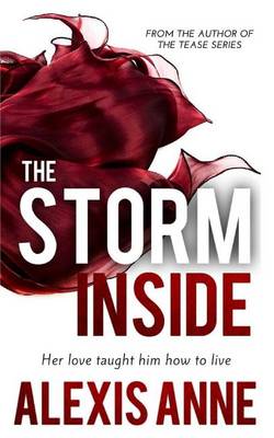 Book cover for The Storm Inside