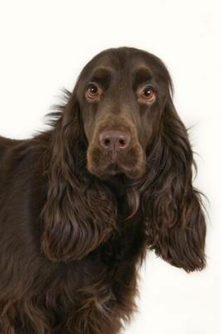 Cover of The Field Spaniel Dog Journal