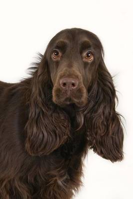 Book cover for The Field Spaniel Dog Journal