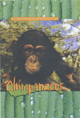 Book cover for Animals of the Rainforest: Chimpanzees