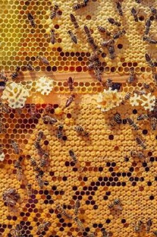 Cover of Bees on Honeycomb Journal
