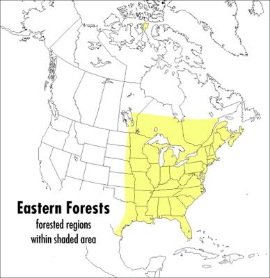 Book cover for Field Guide to Eastern Forests