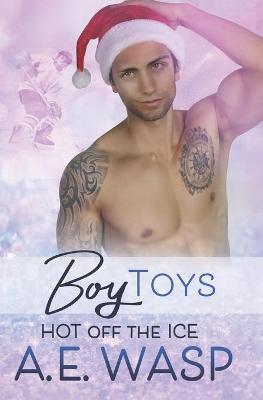 Book cover for Boy Toys