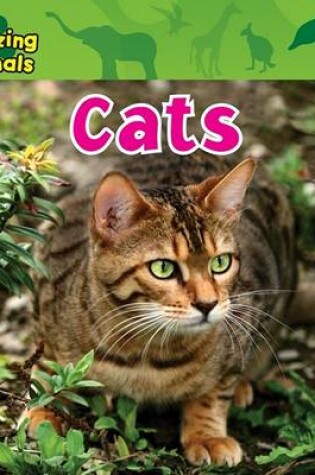 Cover of Cats