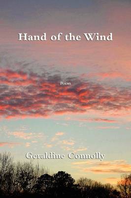 Book cover for Hand of the Wind