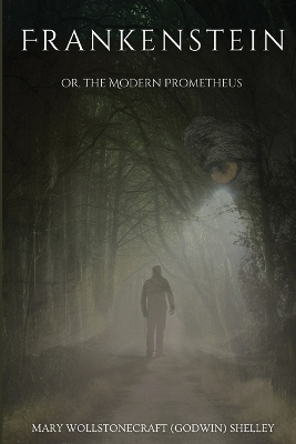 Book cover for Frankenstein; or the Modern Prometheus (annotated)