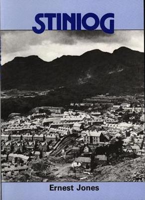 Book cover for Stiniog