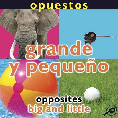 Cover of Opuestos