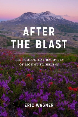 Book cover for After the Blast